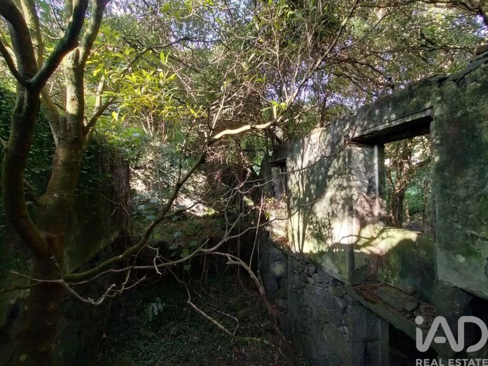 Moradia T3 para Venda em São João Foto 20