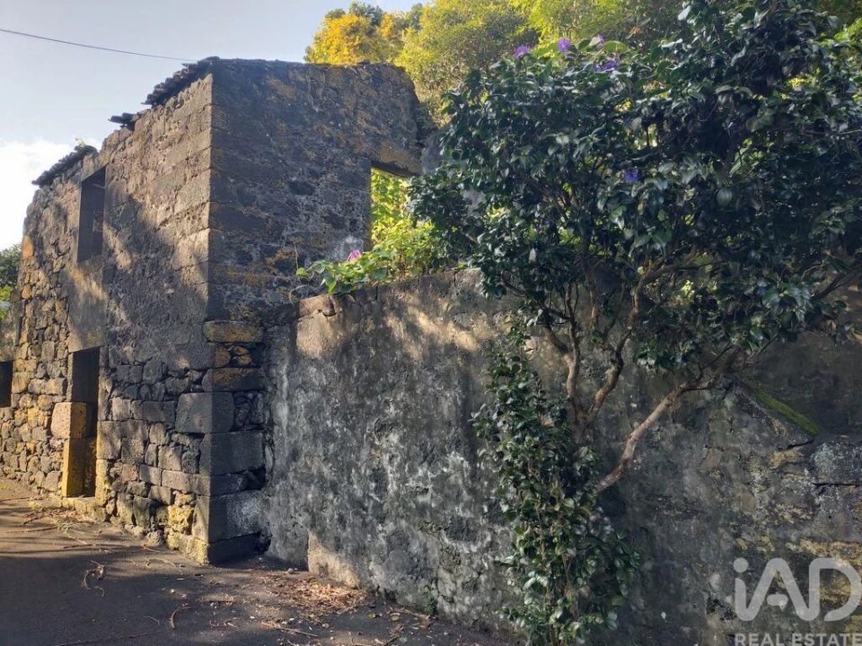 Moradia T3 para Venda em São João Foto 16