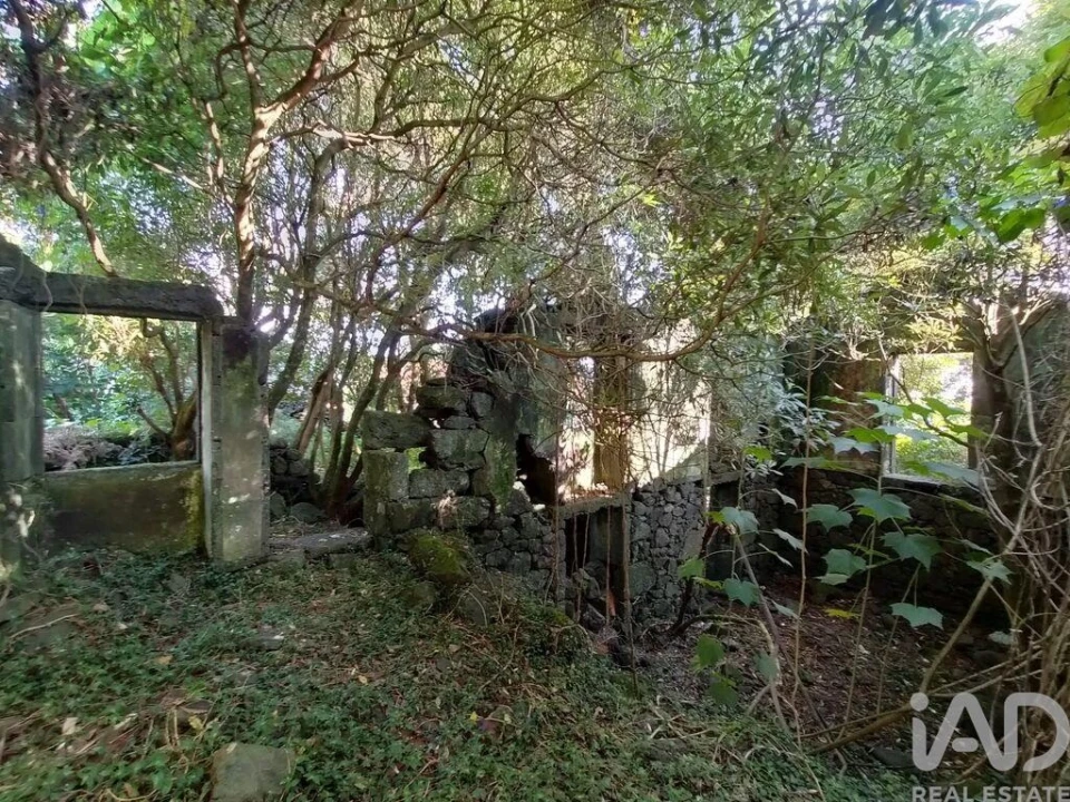 Moradia T3 para Venda em São João Foto 24