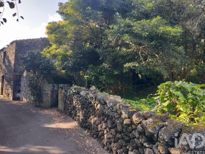 Moradia T3 para Venda em São João Foto 18