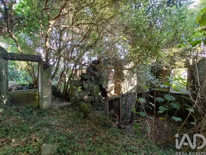 Moradia T3 para Venda em São João Foto 24