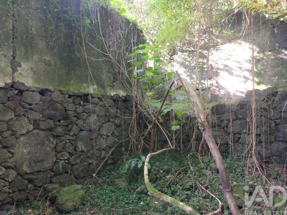 Moradia T3 para Venda em São João Foto 25