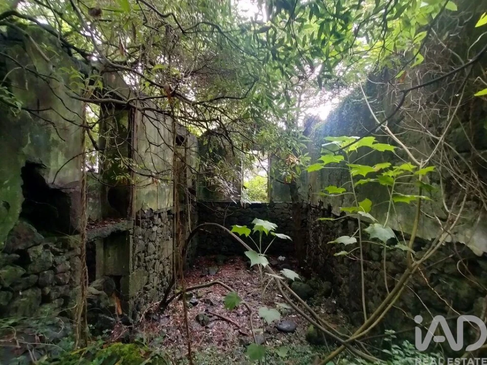 Moradia T3 para Venda em São João Foto 12
