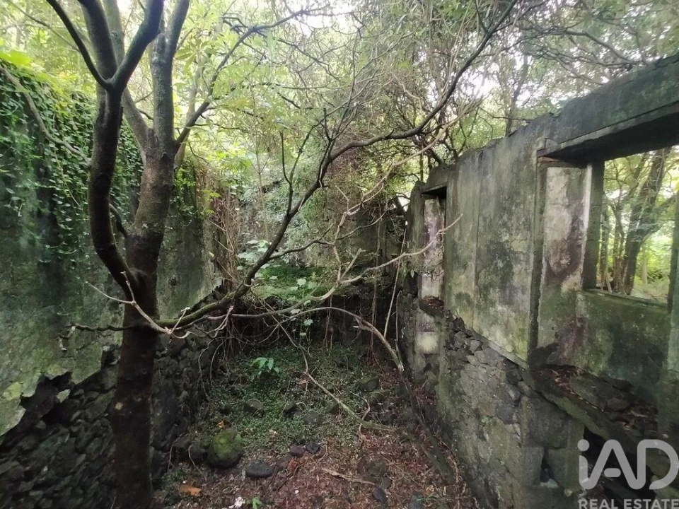 Moradia T3 para Venda em São João Foto 9