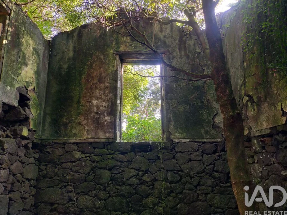 Moradia T3 para Venda em São João Foto 26