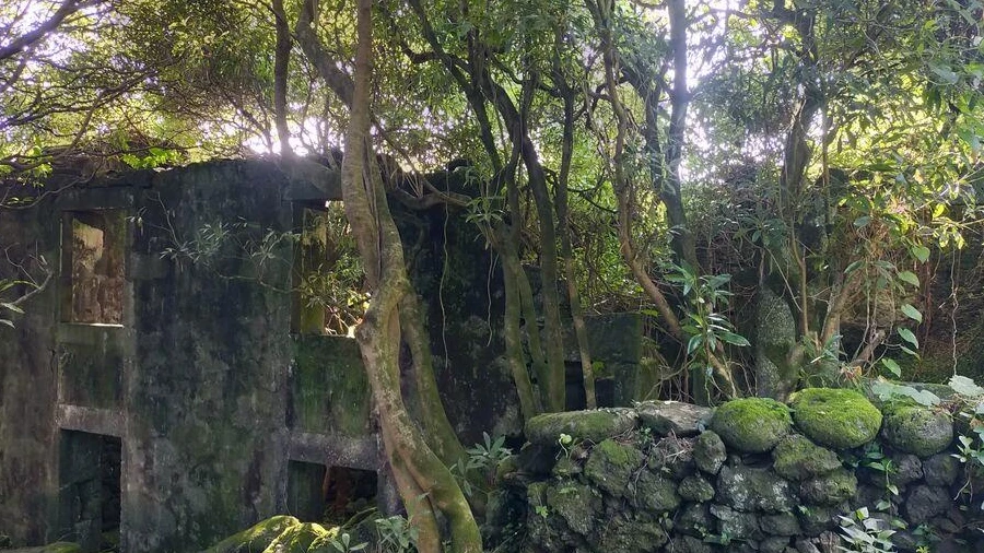 Moradia T3 para Venda em São João