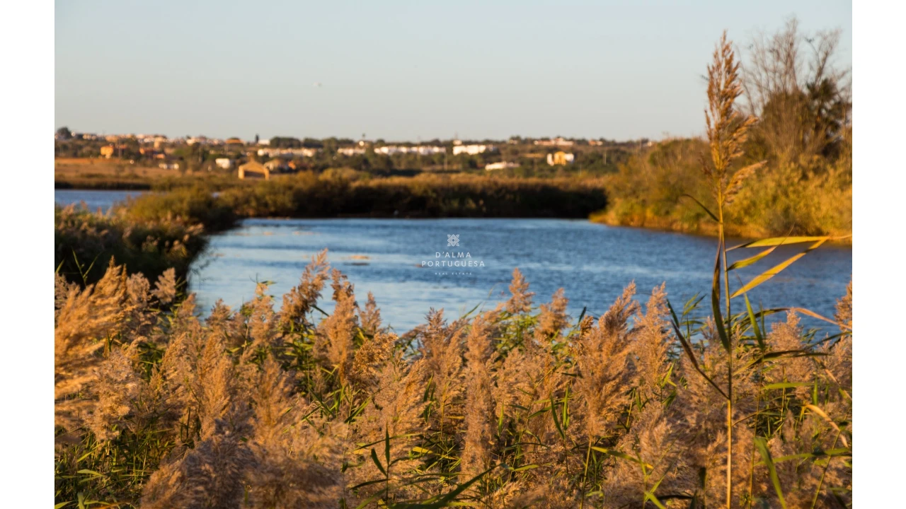 Apartamento T1 para Arrendamento férias em Albufeira e Olhos de Água Foto 36