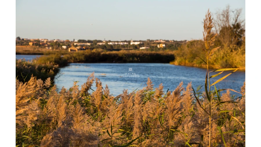 Apartamento T1 para Arrendamento férias em Albufeira e Olhos de Água Foto 36