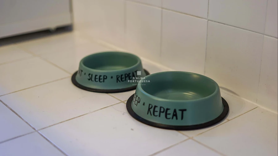 Apartamento T1 para Arrendamento férias em Albufeira e Olhos de Água Foto 17