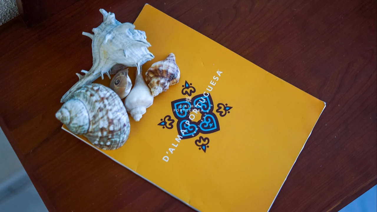 Moradia T4 para Arrendamento férias em Albufeira e Olhos de Água Foto 52