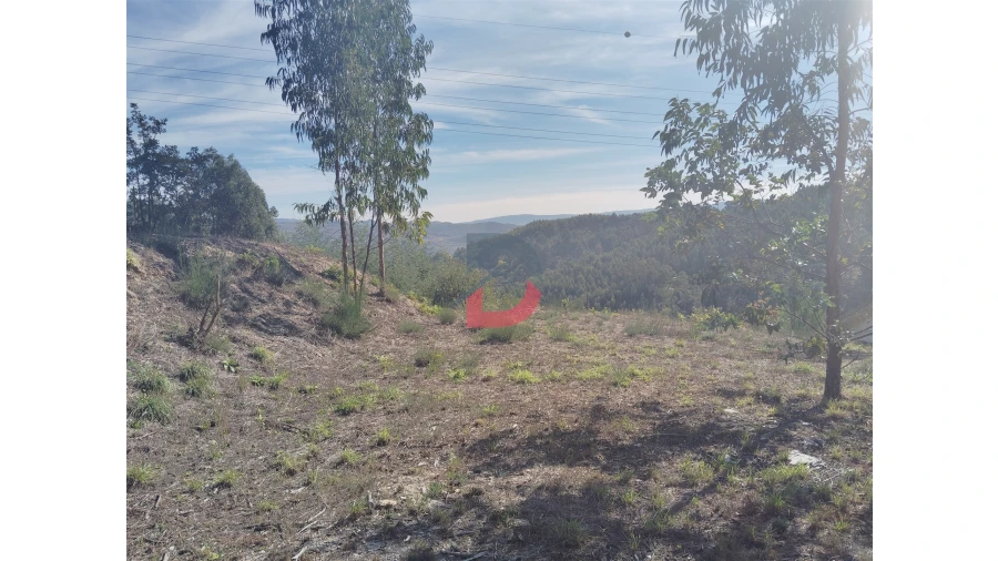 Quinta T3 para Venda em Paredes de Viadores e Manhuncelos Foto 16