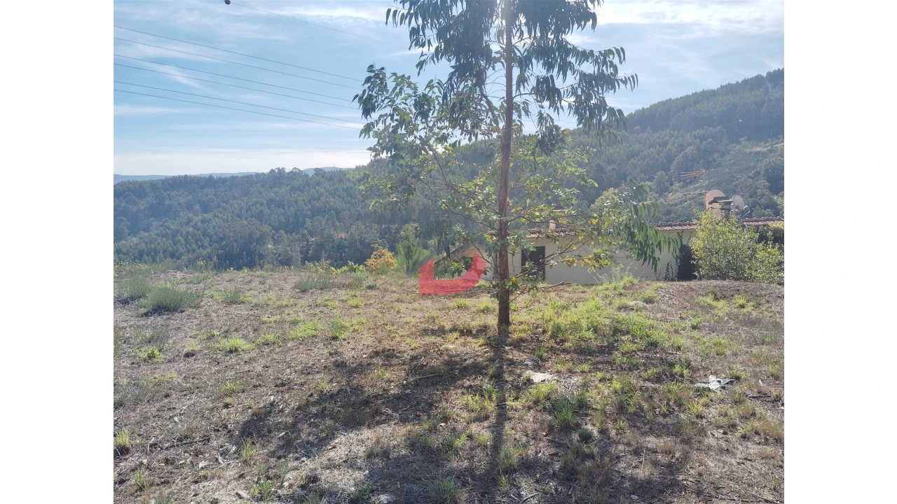 Quinta T3 para Venda em Paredes de Viadores e Manhuncelos Foto 17