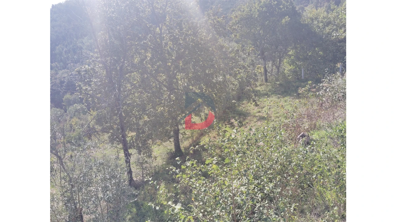 Quinta T3 para Venda em Paredes de Viadores e Manhuncelos Foto 14