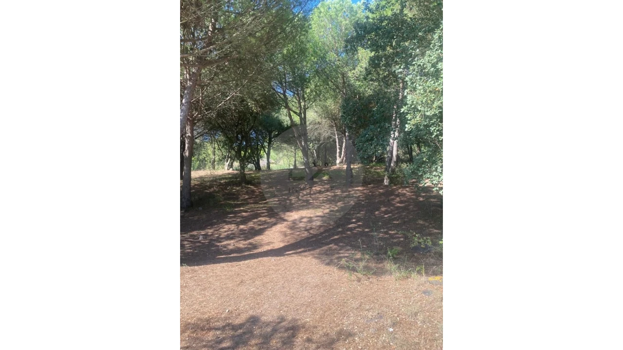 Terreno para Venda em Carnaxide e Queijas Foto 16