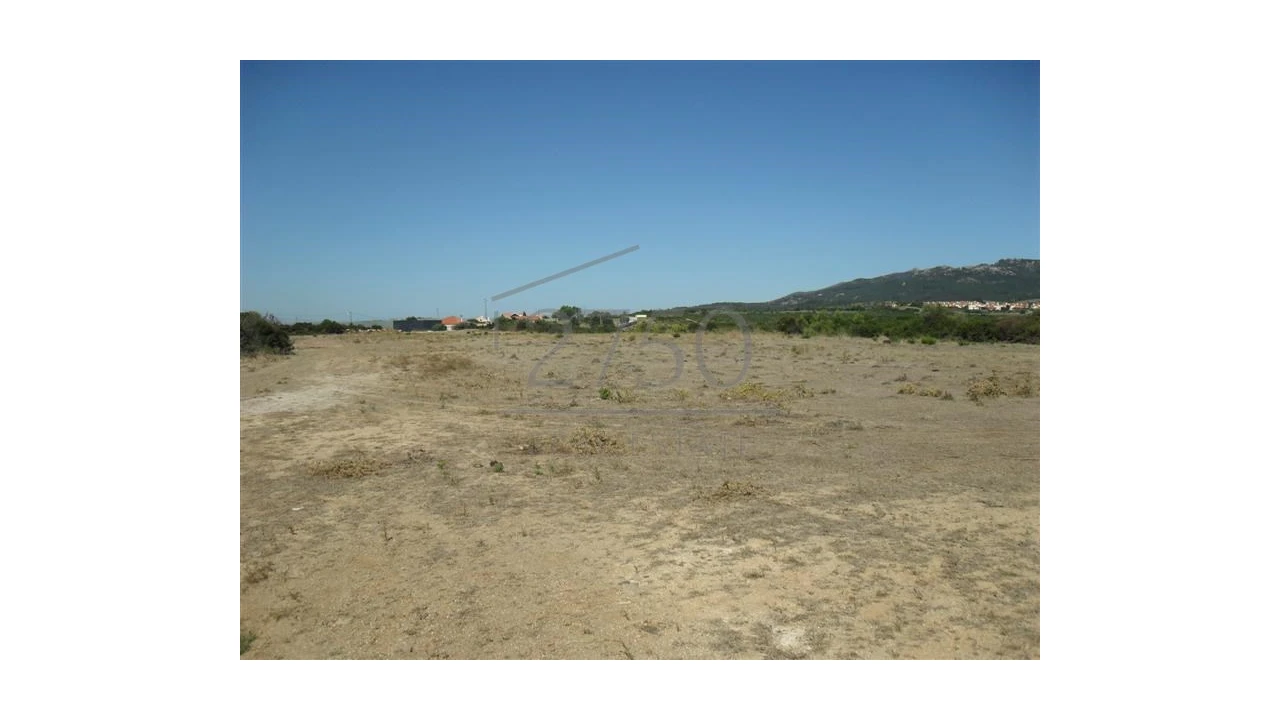 Terreno Agricola ou Rústico para Arrendamento em Alcabideche Foto 3