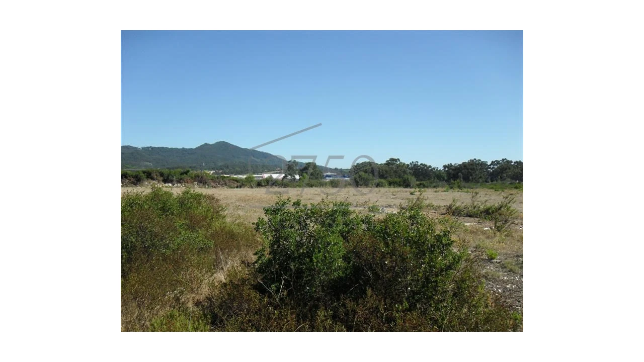 Terreno Agricola ou Rústico para Arrendamento em Alcabideche Foto 4