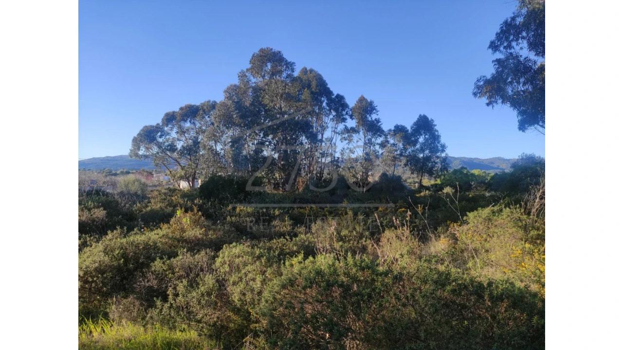 Terreno Agricola ou Rústico para Arrendamento em Alcabideche Foto 5