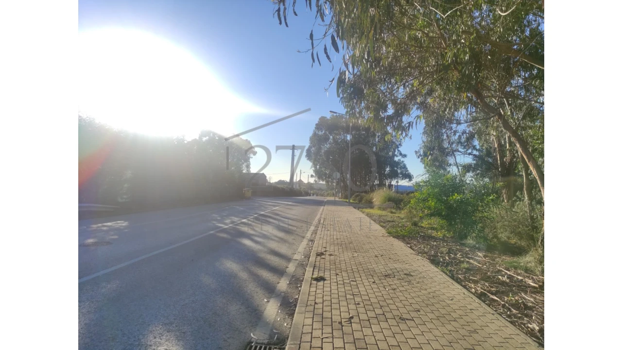 Terreno Agricola ou Rústico para Arrendamento em Alcabideche Foto 6