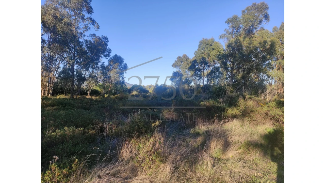 Terreno Agricola ou Rústico para Arrendamento em Alcabideche Foto 7