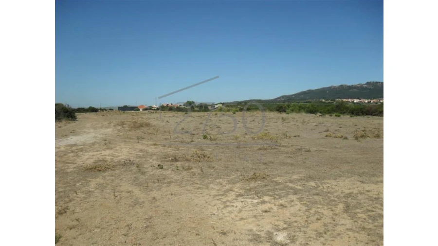 Terreno Agricola ou Rústico para Arrendamento em Alcabideche Foto 3