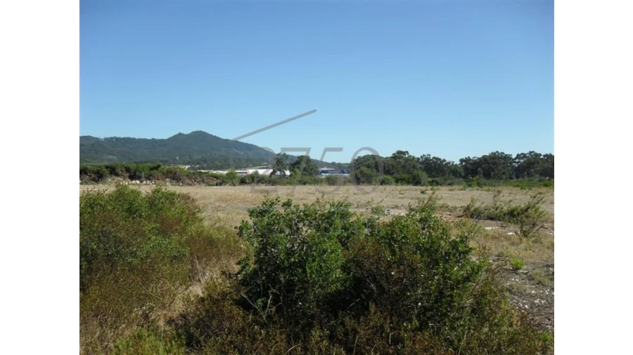Terreno Agricola ou Rústico para Arrendamento em Alcabideche Foto 4