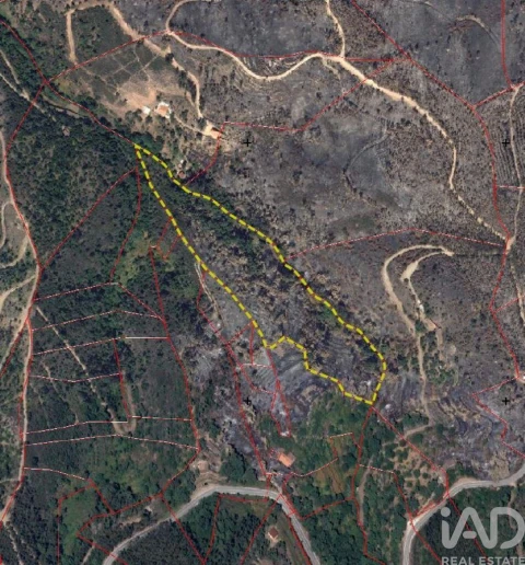 Terreno para Venda em Monchique