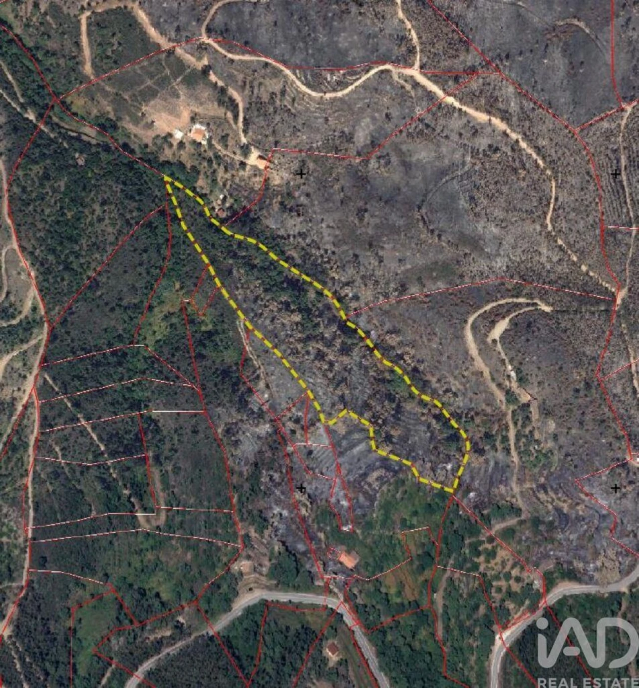 Terreno para Venda em Monchique Foto 2