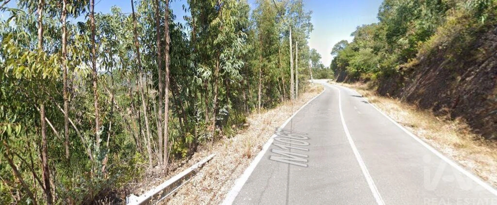 Terreno para Venda em Monchique Foto 3
