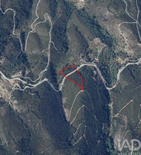 Terreno para Venda em Monchique