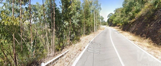 Terreno para Venda em Monchique