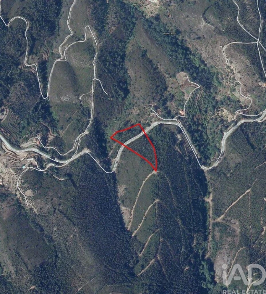Terreno para Venda em Monchique Foto 2
