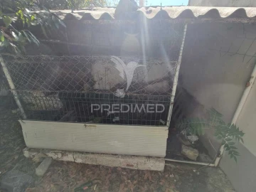 Terreno para Venda em Loule (São Clemente)