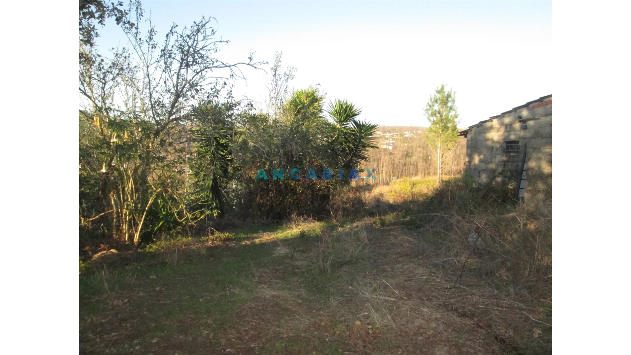 Terreno para Venda em Colmeias e Memória Foto 12