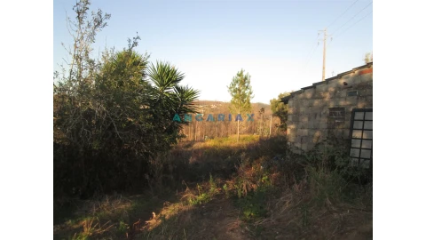 Terreno para Venda em Colmeias e Memória