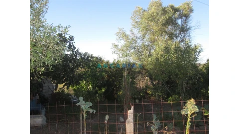 Terreno para Venda em Colmeias e Memória
