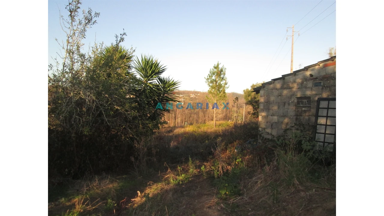 Terreno para Venda em Colmeias e Memória Foto 1