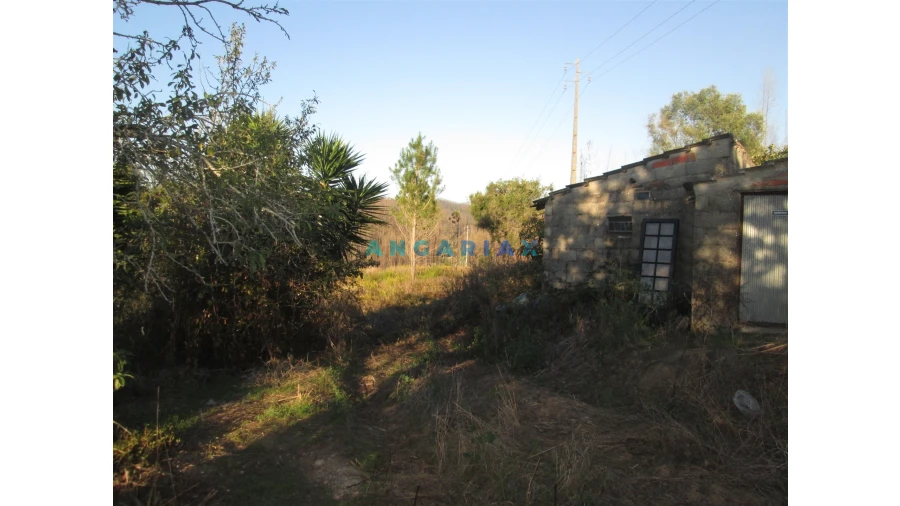 Terreno para Venda em Colmeias e Memória Foto 3