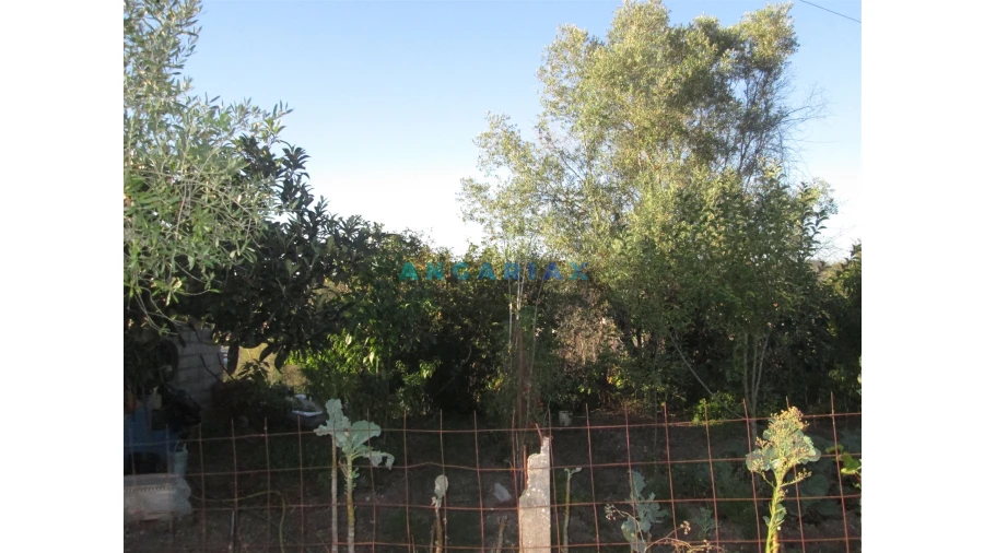 Terreno para Venda em Colmeias e Memória Foto 14