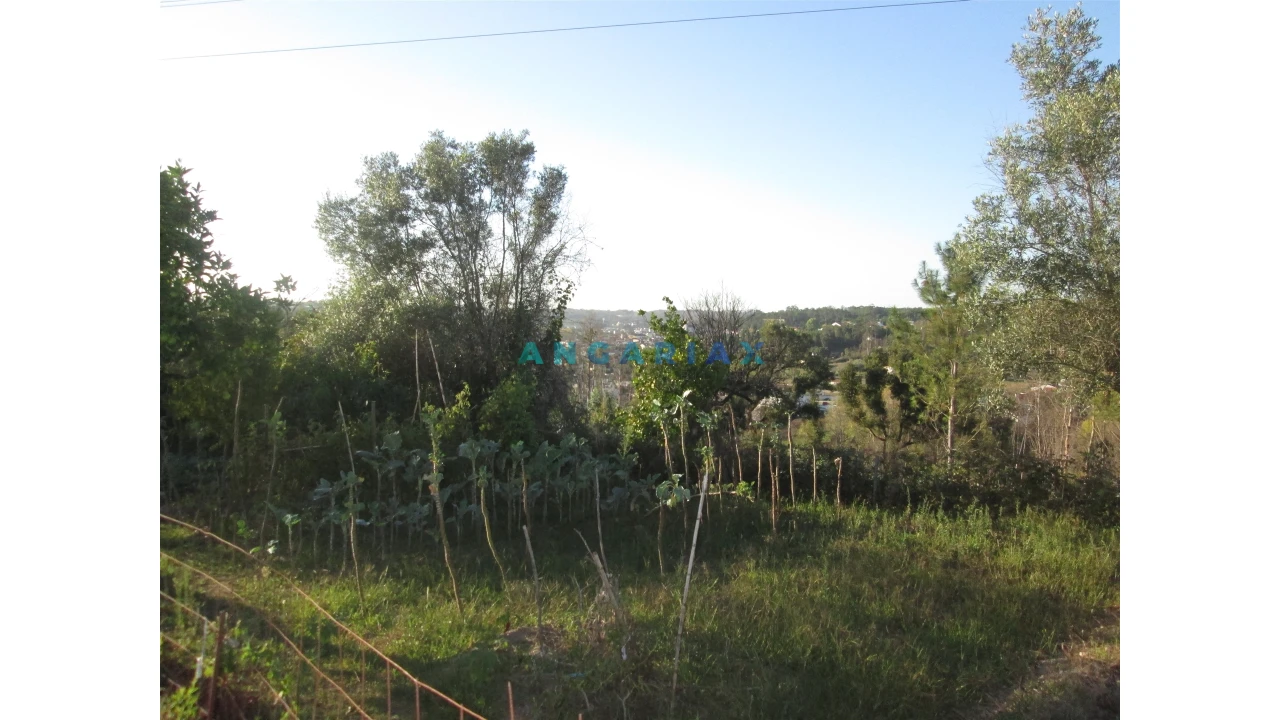 Terreno para Venda em Colmeias e Memória Foto 11