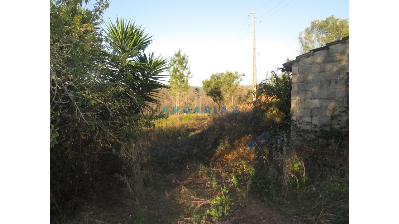 Terreno para Venda em Colmeias e Memória Foto 10
