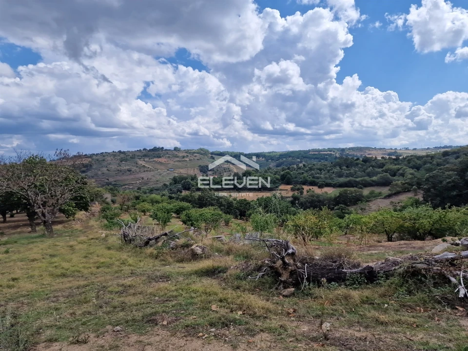 Moradia T5 para Venda em Trevões e Espinhosa Foto 29