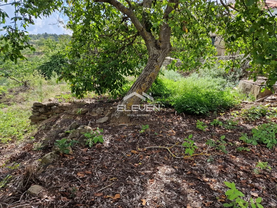 Moradia T5 para Venda em Trevões e Espinhosa Foto 50