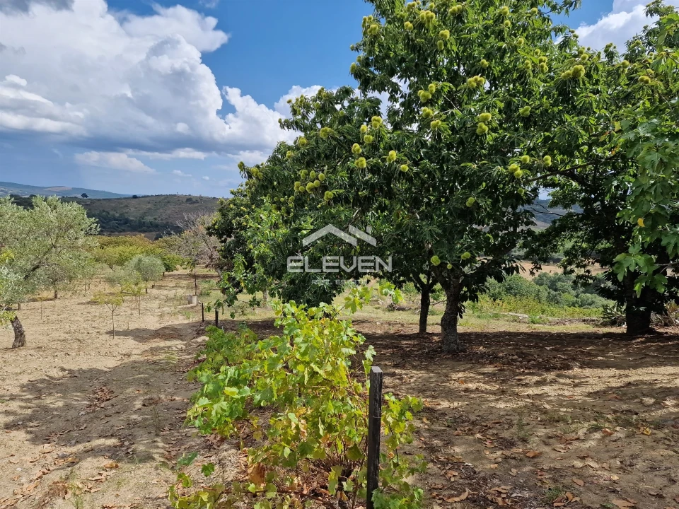 Moradia T5 para Venda em Trevões e Espinhosa Foto 37