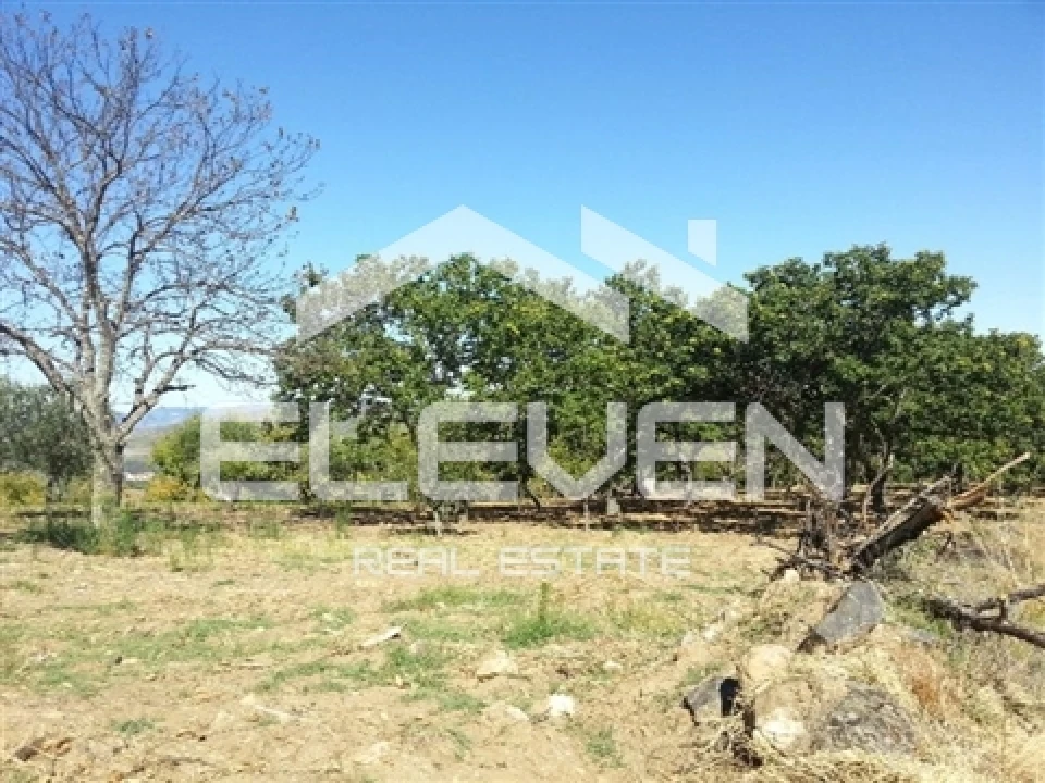 Moradia T5 para Venda em Trevões e Espinhosa Foto 25