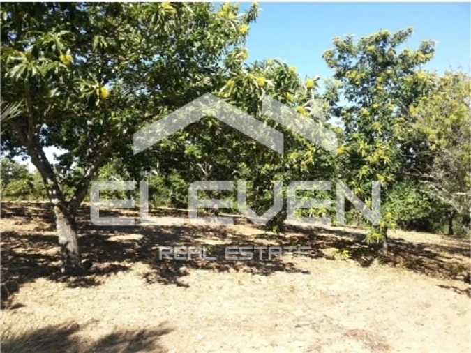 Moradia T5 para Venda em Trevões e Espinhosa Foto 21