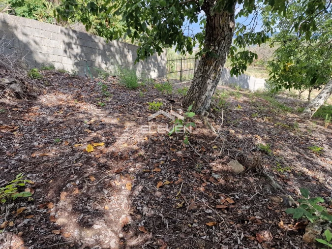 Moradia T5 para Venda em Trevões e Espinhosa Foto 48