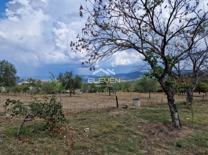 Moradia T5 para Venda em Trevões e Espinhosa Foto 31