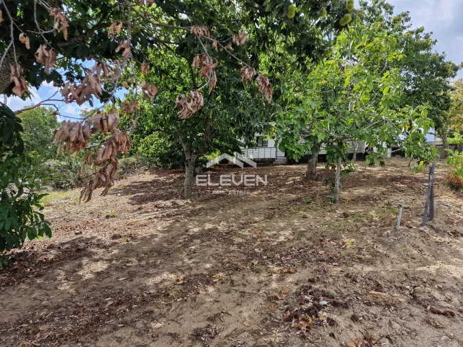 Moradia T5 para Venda em Trevões e Espinhosa Foto 51