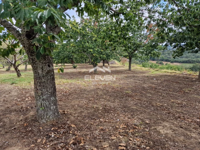 Moradia T5 para Venda em Trevões e Espinhosa Foto 34