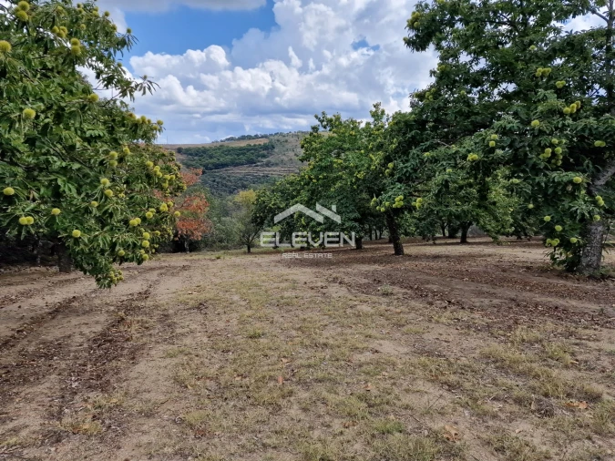 Moradia T5 para Venda em Trevões e Espinhosa Foto 33